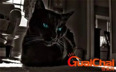 ​猫扑鬼话是什么意思？猫扑鬼话鬼故事