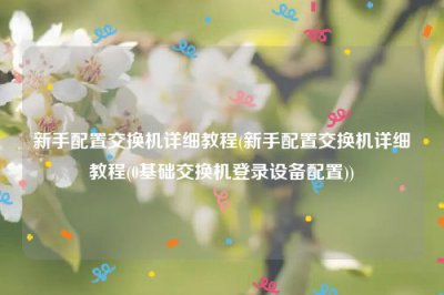 ​新手配置交换机详细教程(新手配置交换机详细教程(0基础交换机登录设备配置))