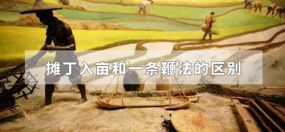 ​摊丁入亩和一条鞭法的区别