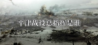 ​平津战役总指挥是谁