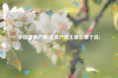 ​中国莲雾产地(莲雾产地主要在哪个省)