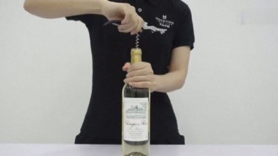 ​普通红酒开瓶器怎么开(没有开瓶器怎么开红酒)
