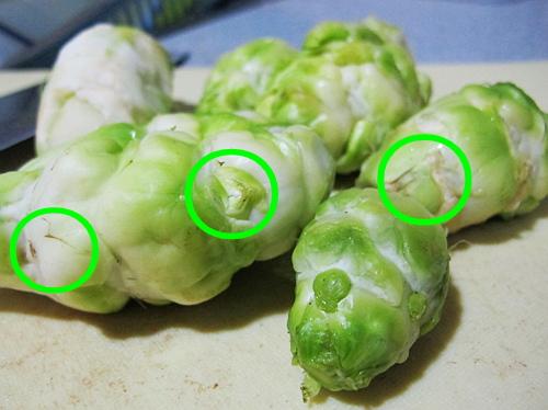 儿菜怎样腌制好吃呢（一步一步教你简单腌制好吃的儿菜）(5)