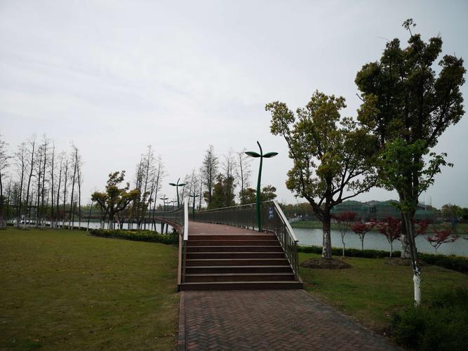 第二天：上海-徐家汇步行街（市区外)-上海市金山森林公园景点
