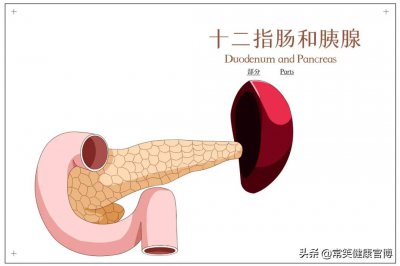 ​什么是胰腺炎有什么症状（胰腺炎有哪些症状，又有哪些危害，该如何预防呢？）