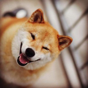 ​提升亲和力的方法有哪些 ？