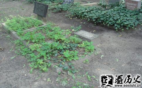海德里希墓
