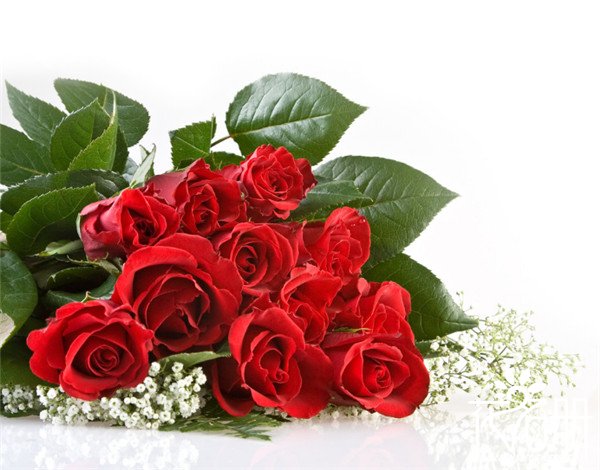 7朵玫瑰花什么意思（17朵玫瑰代表什么意思，绝望无可挽回的爱）"