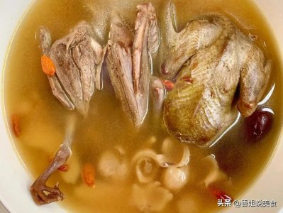 ​鸽子肉的做法怎样最好吃？教你新吃法，滋补营养又美味，老少皆宜