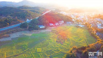 ​定南县属于哪个省哪个市(赣州定南：以花为媒打造美丽“后花园”)