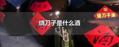 ​烧刀子是什么酒,代表什么生肖 烧刀子是什么酒类