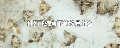 ​打死飞蛾留下的粉是什么 飞蛾死后的粉