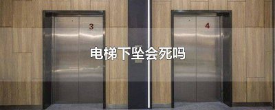 ​电梯下坠会死吗 电梯下坠会死吗 知乎