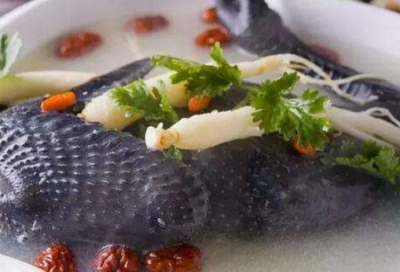 ​乌鸡不能和什么一起吃（乌鸡汤不能和什么一起吃 了解乌鸡汤的饮食常识）