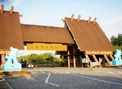 ​上海动物园旅游攻略（上海热门旅游景点 上海野生动物园旅游攻略 ）