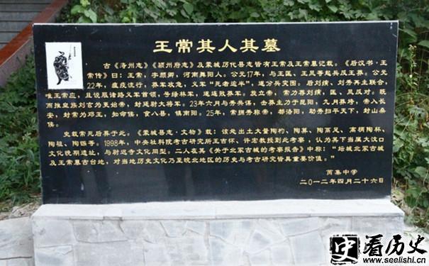 王常墓照片