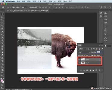 ​ps怎么合成图片教程（Ps 初学者教程，如何将两张图片合成为一张令人惊艳的全新