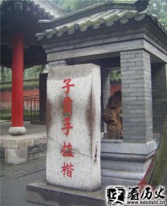 ​关于子贡手植楷的精彩故事