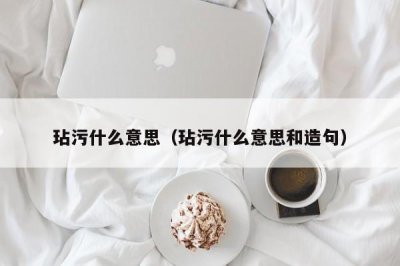​玷污什么意思（玷污什么意思和造句）