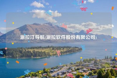 ​派拉汀导航(派拉软件股份有限公司)