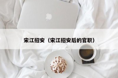 ​宋江招安（宋江招安后的官职）