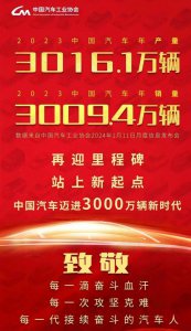 ​车企2024：合资燃油崩塌，中国车企高歌猛进