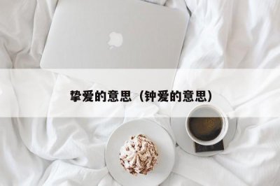 ​挚爱的意思（钟爱的意思）