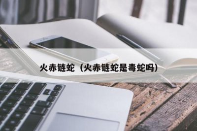 ​火赤链蛇（火赤链蛇是毒蛇吗）