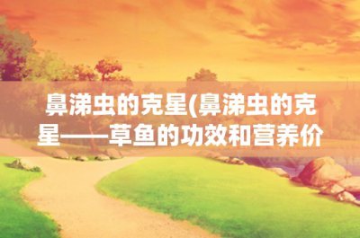 ​鼻涕虫的克星(鼻涕虫的克星——草鱼的功效和营养价值)