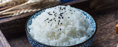 ​大米的成分有哪些物质 大米的成分有什么特点