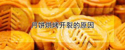 ​月饼烤出来开裂是怎么回事儿 烤的月饼开裂是怎么回事呢