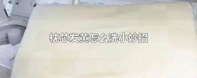 ​枕芯发黄怎么洗小妙招(枕芯是海绵) 枕芯发黄怎么洗小妙招图片