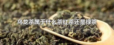 ​乌龙茶是什么茶红茶还是绿茶 乌龙茶是什么茶绿茶还是红茶
