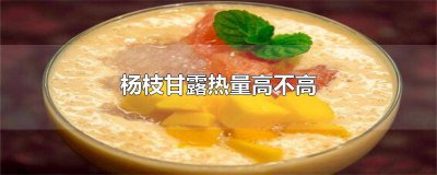 ​杨枝甘露的热量是多少大卡 杨枝甘露热量表