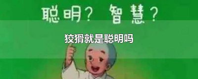 ​狡猾就是聪明吗知乎 狡猾跟聪明的区别