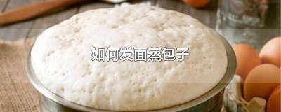 ​没有酵母如何发面蒸包子 如何发面蒸包子