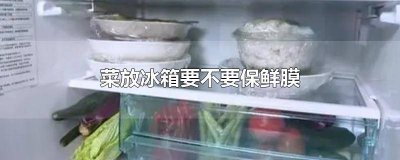 ​菜要放冰箱吗 菜应该放冰箱吗