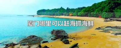 ​福建哪里海边好玩海鲜又多 福建哪里能赶海抓海鲜