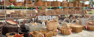 ​阜阳特产哪里有卖 阜南特产有哪些能带走的东西