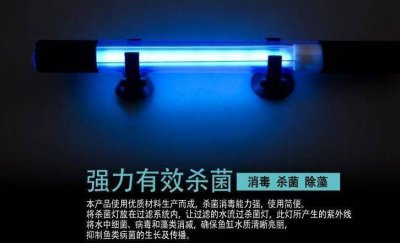 ​鱼缸杀菌灯的使用方法视频 鱼缸杀菌灯的使用寿命有多久?