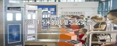 ​超1米5儿童怎么买票 网上如何给1米5以上儿童购票