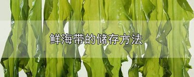 ​鲜海带的储存方法视频 鲜海带怎么储存方法