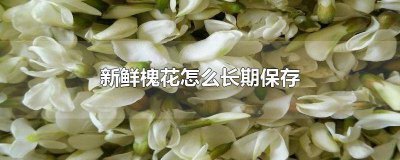 ​新鲜槐花怎么长期保存还有香味 新鲜槐花怎么长期保存