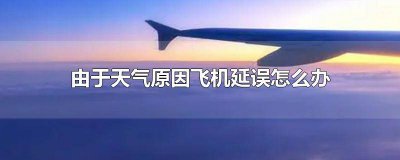 ​因天气原因航班延误怎么办理手续 由于天气原因航班延误了怎么办