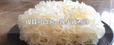 ​银耳泡了一天还能煮吗 泡了一夜的银耳可以煮熟吃吗