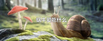 ​蜗牛喜欢吃什么叶子 蜗牛最喜欢吃什么叶子?