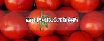 ​西红柿可以冷冻储存吗 西红柿可以冷冻储存吗?