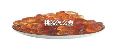 ​血燕桃胶怎么煮 桃胶怎么煮糖水