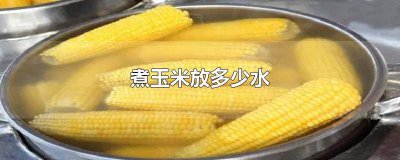 ​煮玉米放多少水最好 煮玉米放多少水比较好