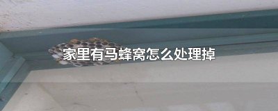 ​家里有个马蜂窝怎么处理 如何处理家里的马蜂窝